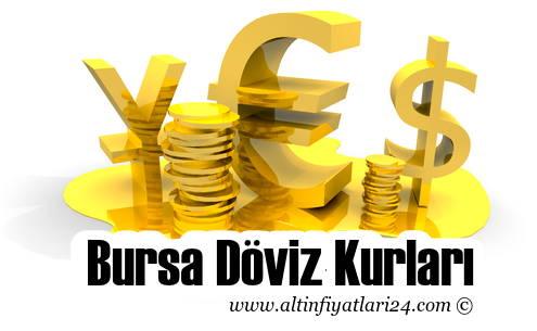 Bursa Döviz Kurları