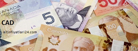 Kanada Doları (CAD)