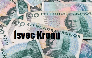 İsveç Kronu kaç tl eder? USD SEK ilişkisi